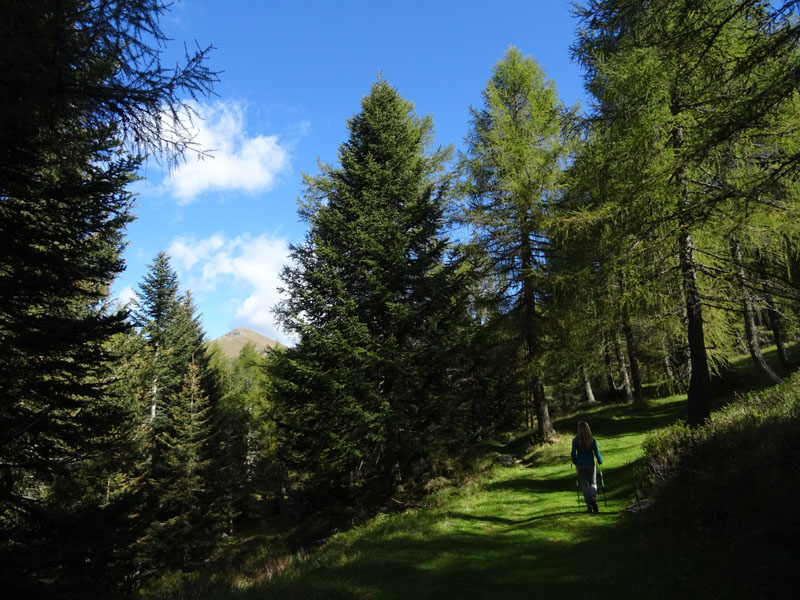 Catena dei Lagorai...da Pergine al Passo del Manghen